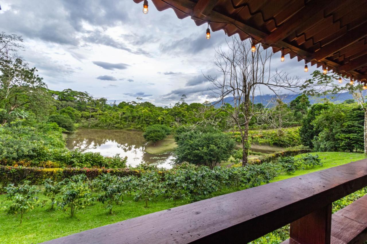 La Anita Rain Forest Colonia Dos Ríos Esterno foto