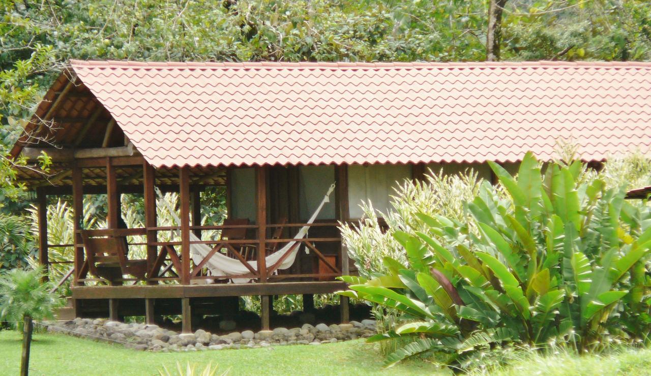 La Anita Rain Forest Colonia Dos Ríos Esterno foto
