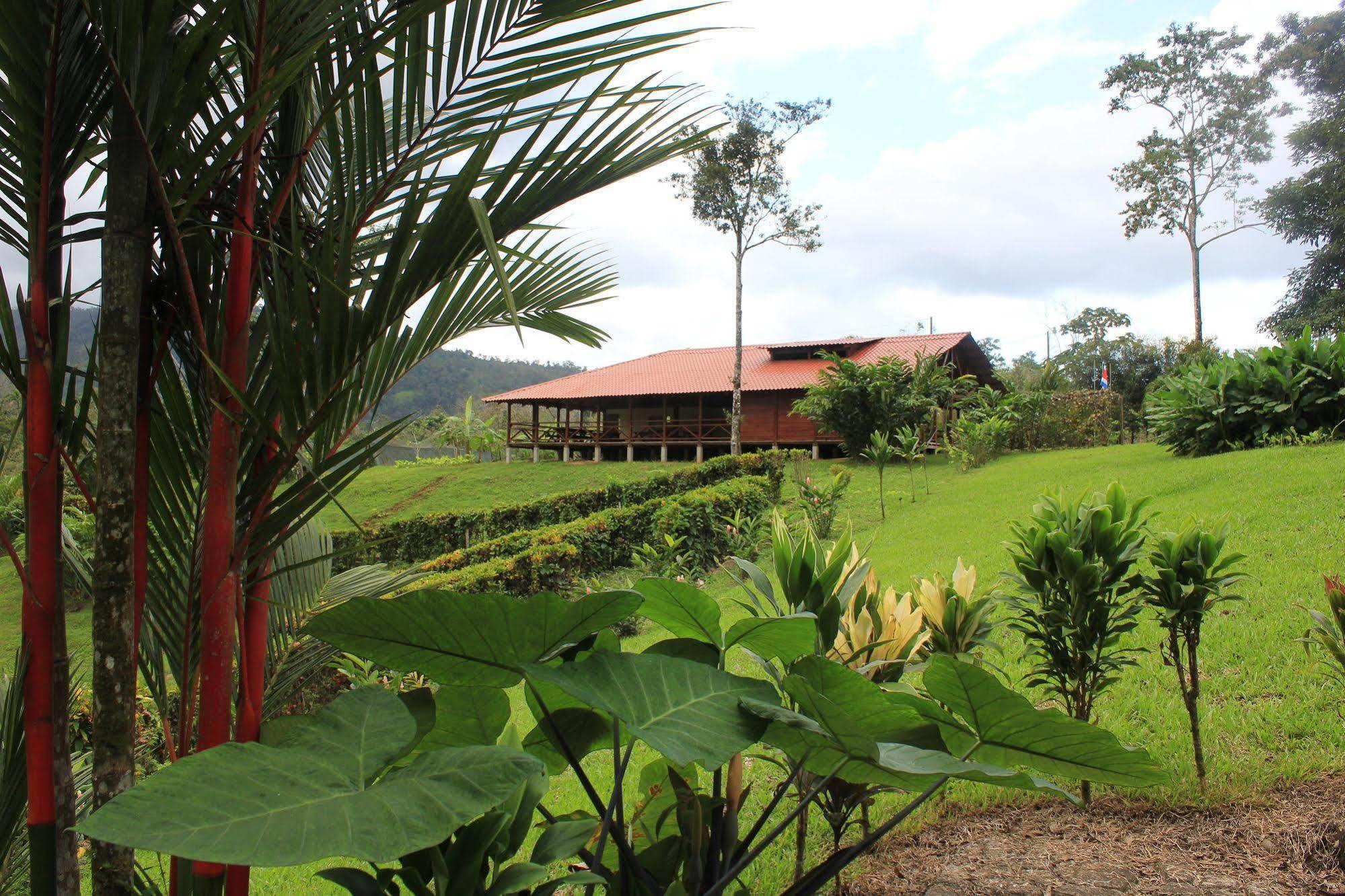 La Anita Rain Forest Colonia Dos Ríos Esterno foto